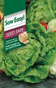 Lettuce All Year Seed Tape