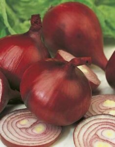 Onion Early Californian Red Seeds