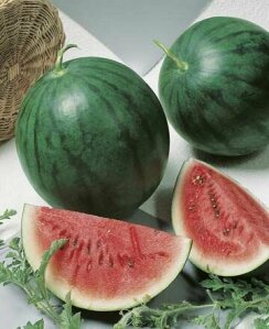 Water Melon Sugar Baby Seeds