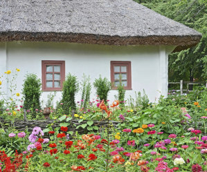 Cottage Garden - Seasonal Flower Mix