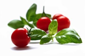Hanging Basket - Basil & Cherry Tomato