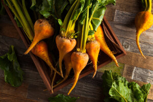 (MEGA) Beetroot Golden 100 Plants