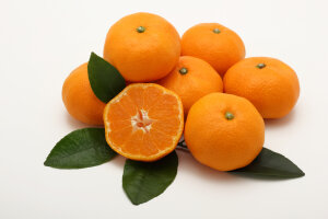 Orange Fukumoto