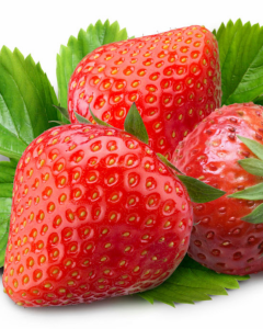 Strawberry Camarosa