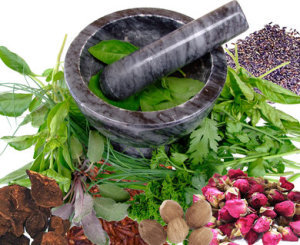 Herb Mix - Basil, Italian&Curly Parsley, Coriande