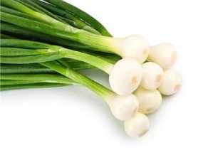 Onion - Pearl Drop