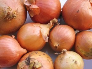 Onion - Pukekohe Longkeeper