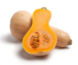 Pumpkin - Butternut