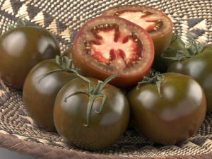 Tomato - Black Krim