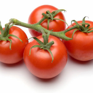 Tomato - Moneymaker