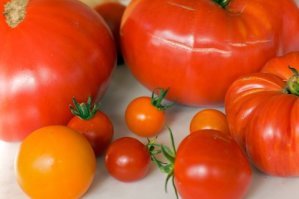 Tomato - Mixed Varieties