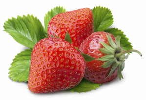 (MEGA) Strawberry - Camarosa 100 Plants
