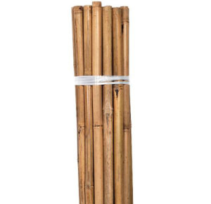 Bamboo 6 x 1.8m 16 - 18mm