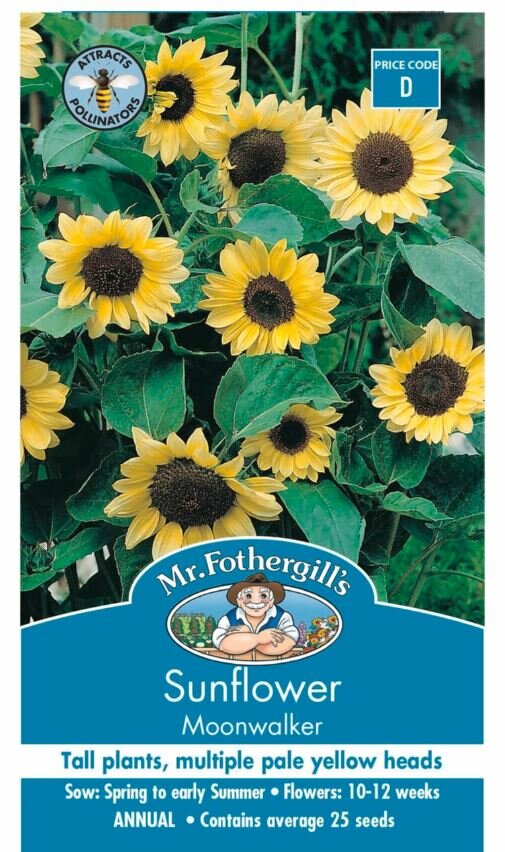 Sunflower Moonwalker Seeds Awapuni Nurseries
