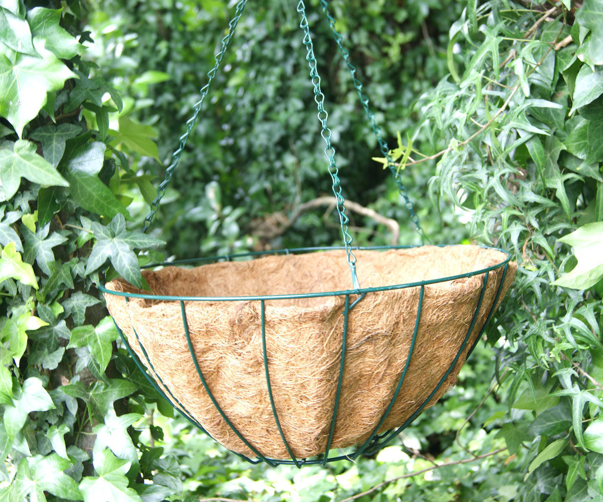 Hanging Basket with Liner Awapuni Nurseries