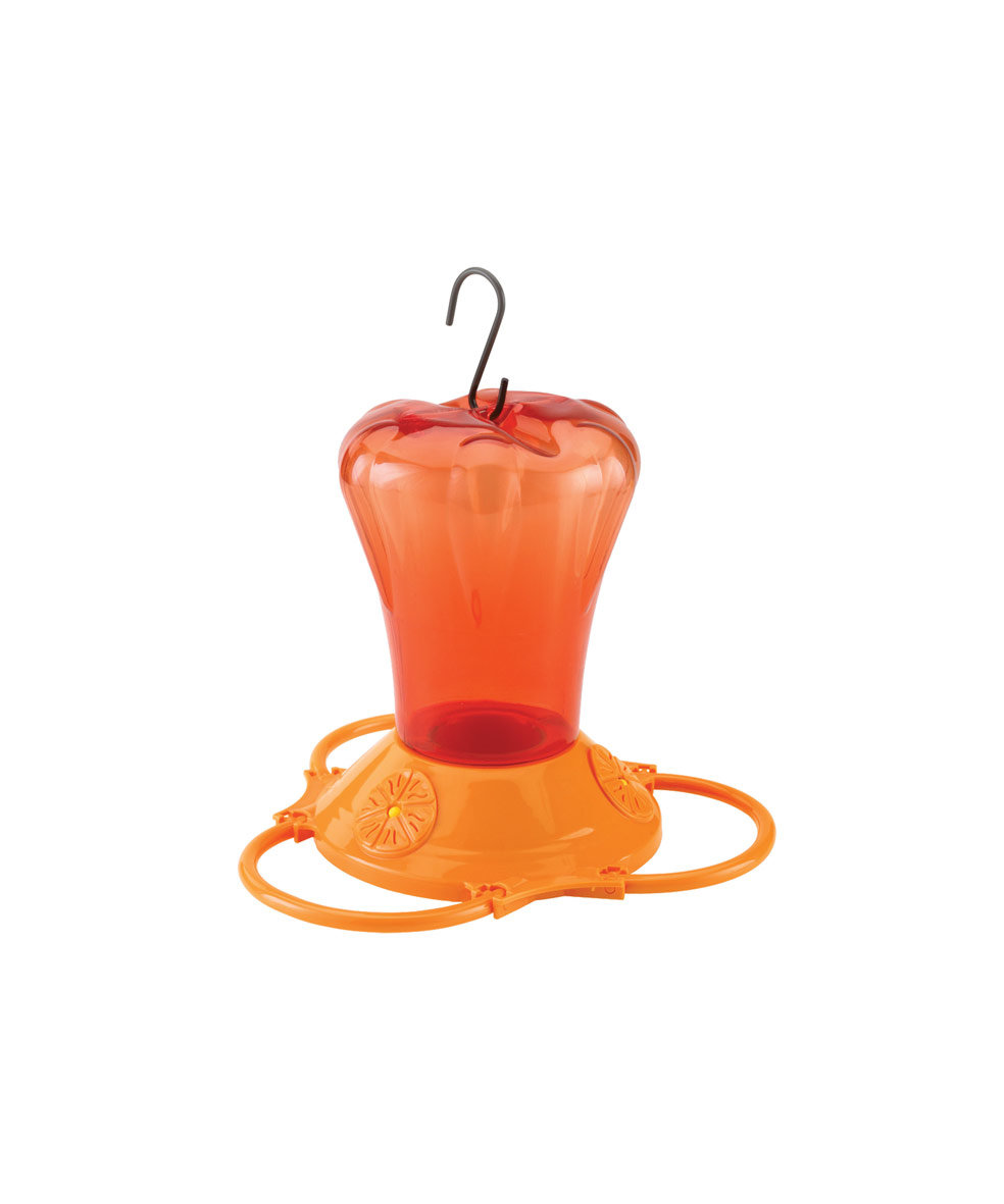 Nectar Feeder Awapuni Nurseries