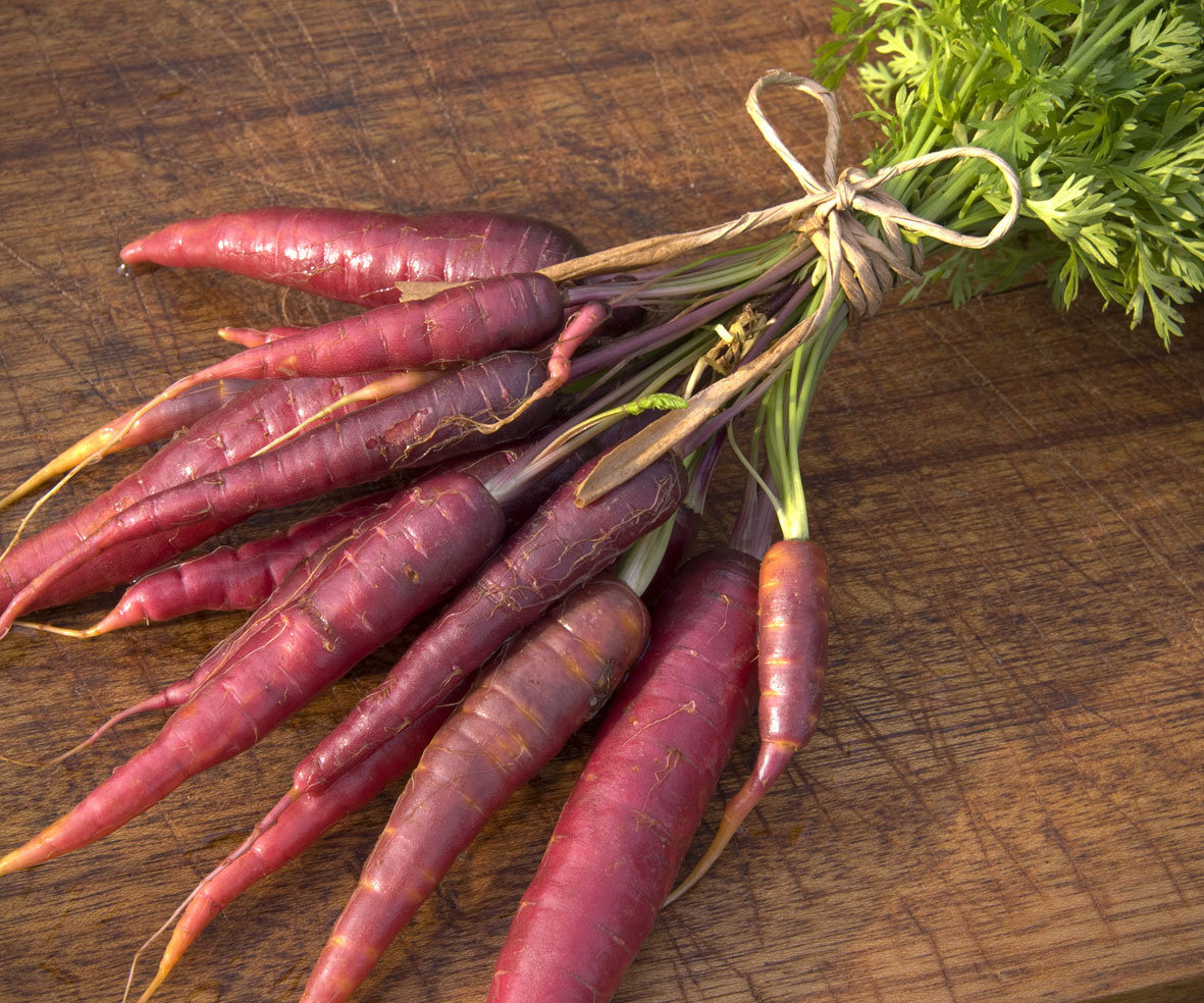Carrot Purple Awapuni Nurseries