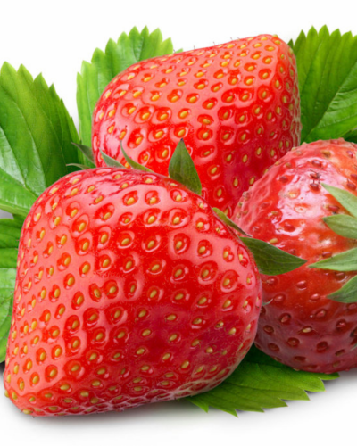 Strawberry Camarosa