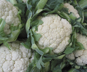 Mixed Veg 2 - Cabbage, Cauliflower, Silverbeet