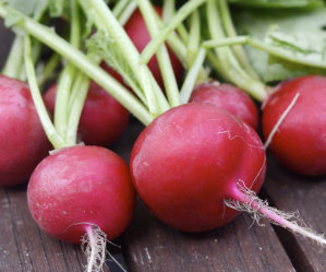 Mixed Veg 3 - Spring Onion, Lettuce, Radish