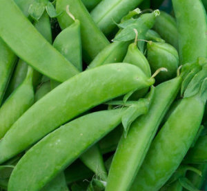 Sugar Snap Pea