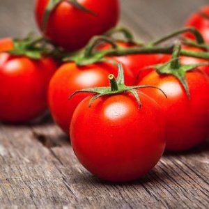 Tomato - Russian - Awapuni Nurseries