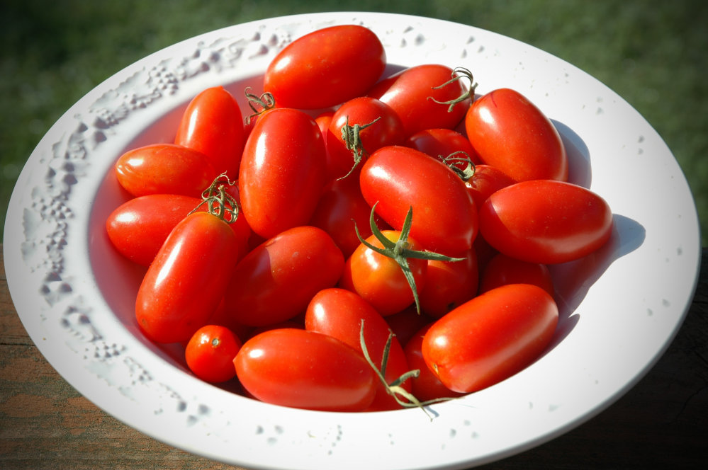 Tomato - Horsepower