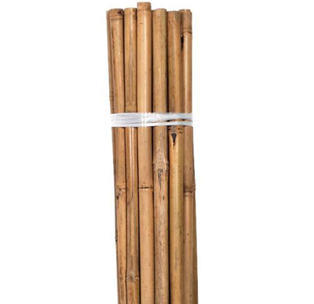 Bamboo 12 x 1.8m 16 - 18 mm