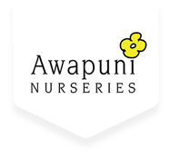 Awapuni Nurseries Logo
