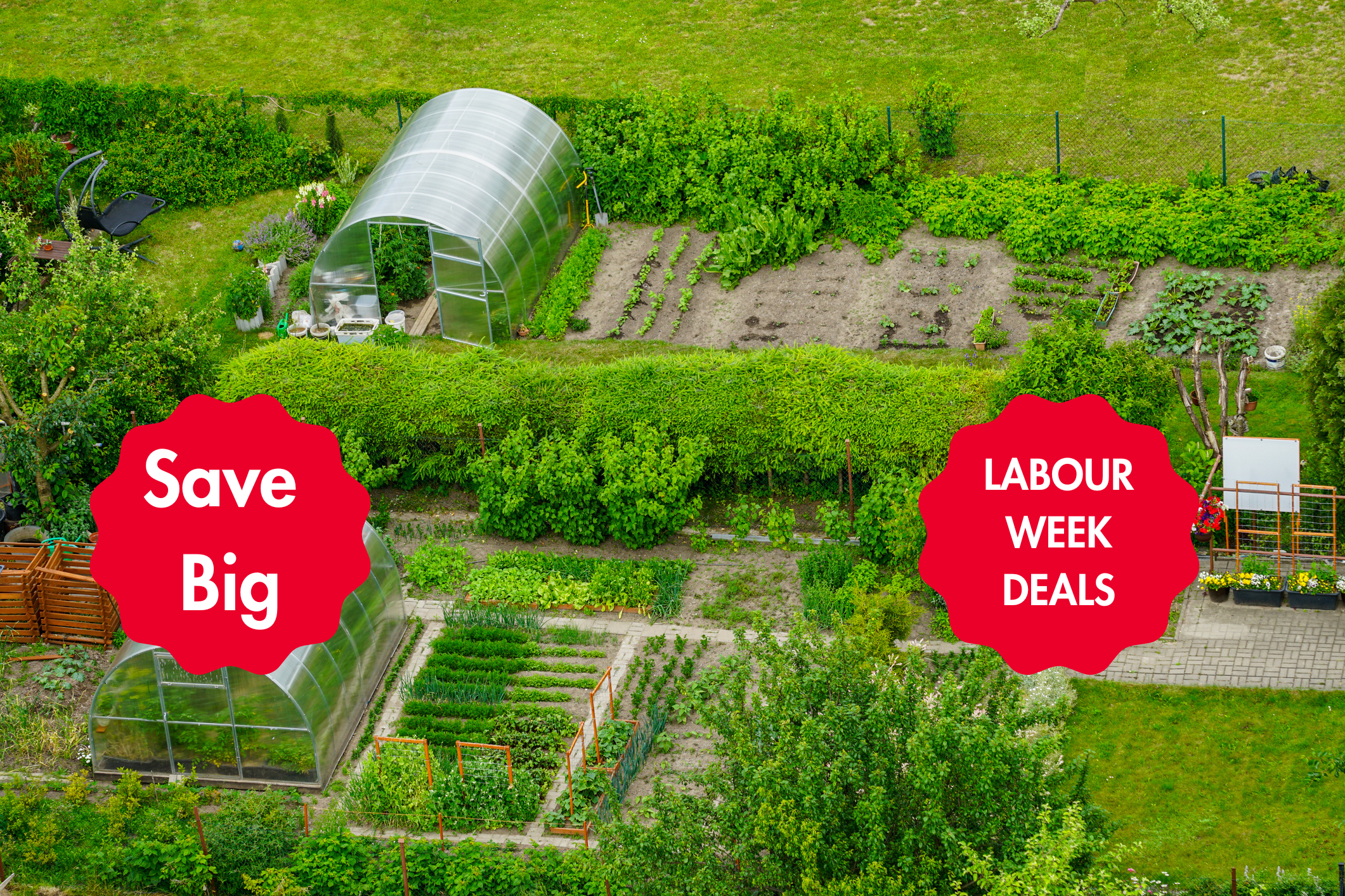 Buy Vegetables, Flowers, Natives and Herbs Online