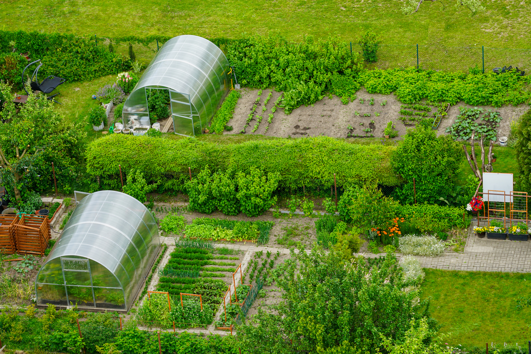 Buy Vegetables, Flowers, Natives and Herbs Online