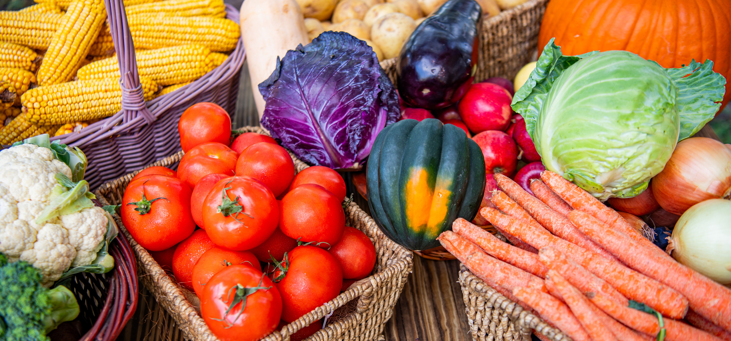 Buy Vegetables, Flowers, Natives and Herbs Online